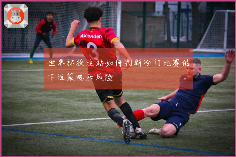 世界杯投注站如何判断冷门比赛的下注策略和风险